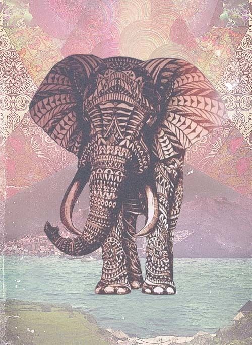 500x685 just made an elephant ^ ^ we heart it desi chic elephant - Elephant Drawing Wallpaper