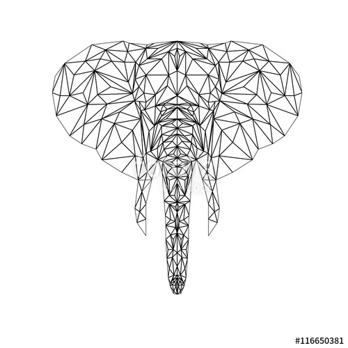 500x500 Vector Elephant Illustration For Tattoo, Coloring, Wallpaper - Elephant Drawing Wallpaper