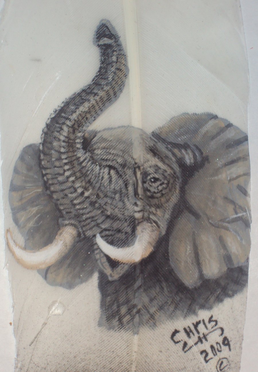 900x1300 Elephant With Trunk Up Drawings Pictures And Ideas On Meta - Elephant Drawing With Trunk Up