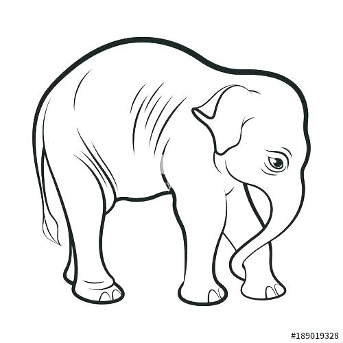 500x500 Elephant Outline Template - Elephant Drawing With Trunk Up