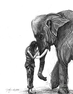 233x300 Elephant Ear Drawings Fine Art America - Elephant Ears Drawing