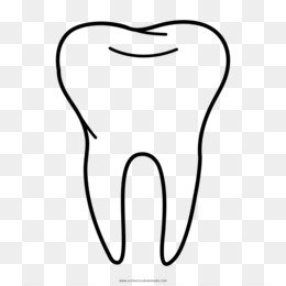 260x260 Elephant Ear Png - Elephant Ears Drawing