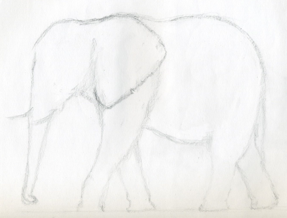 981x745 How To Draw An Elephant - Elephant Ears Drawing