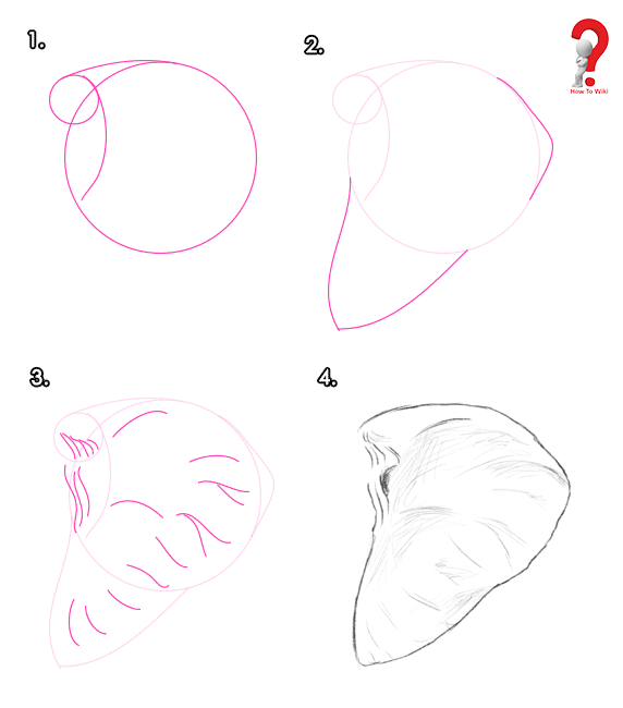 572x650 How To Draw Animal Ears Bunny, Dog, Wolf, Cat, Elephant, How - Elephant Ears Drawing