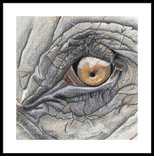 600x608 Elephant Eye - Elephant Eye Drawing