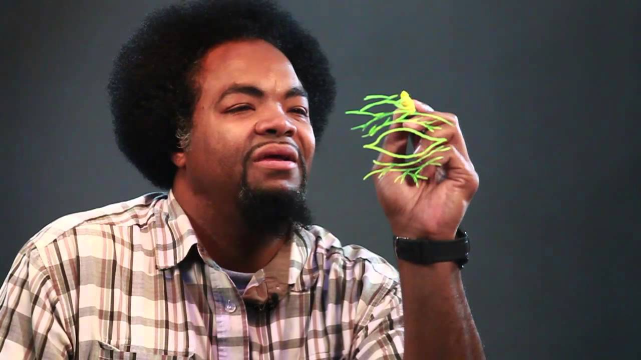 1280x720 How To Draw Elephant Eyes - Elephant Eye Drawing