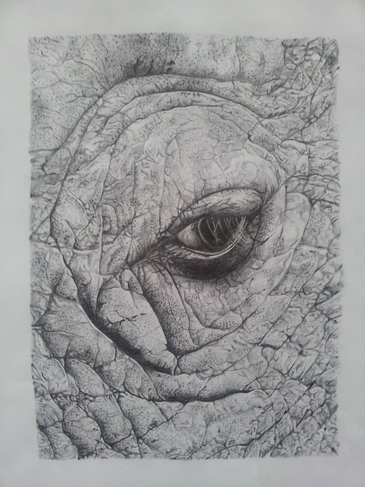 1200x1600 Victoria Farrance Elephant Eye - Elephant Eye Drawing