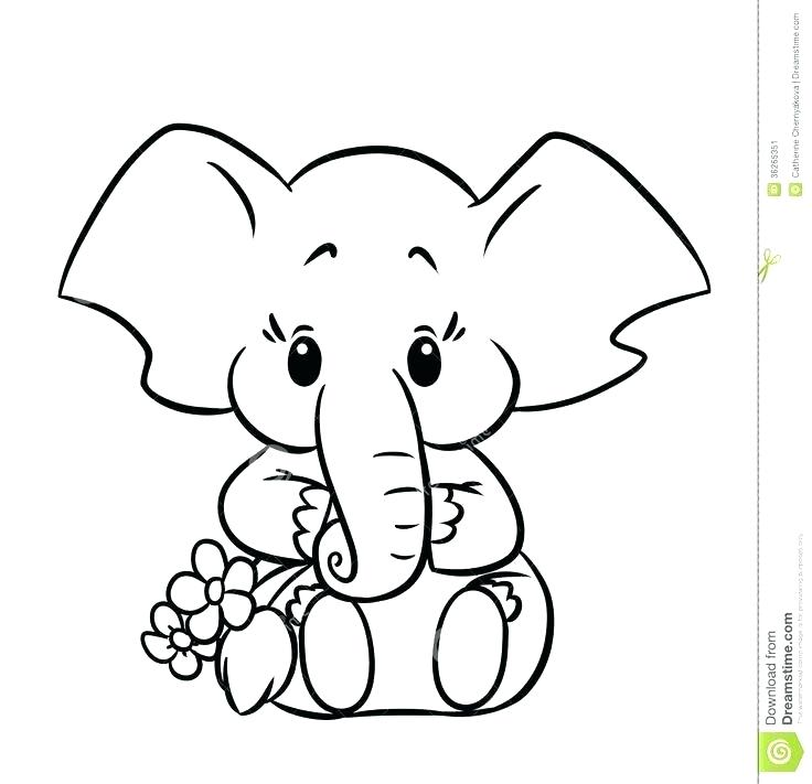 736x711 Elephant Face Color - Elephant Face Drawing