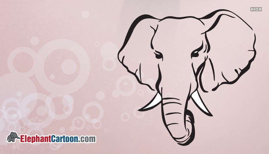 934x534 Elephant Face Images, Pictures - Elephant Face Drawing