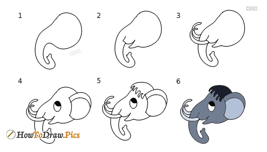 934x534 How To Draw An Elephant Face Howtodraw Pics - Elephant Face Drawing