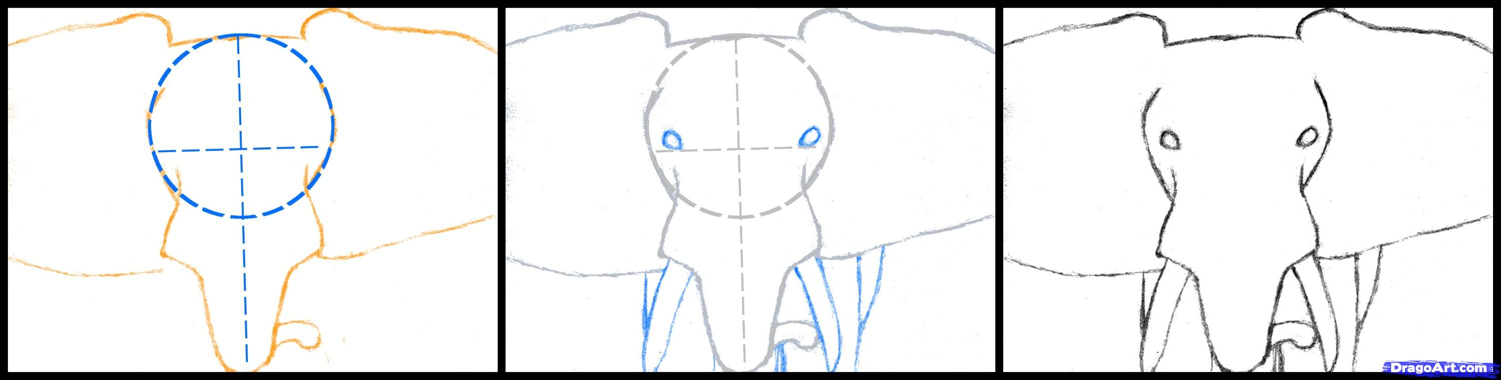 3000x760 How To Draw An Elephant Head, African Elephant, Step - Elephant Face Drawing