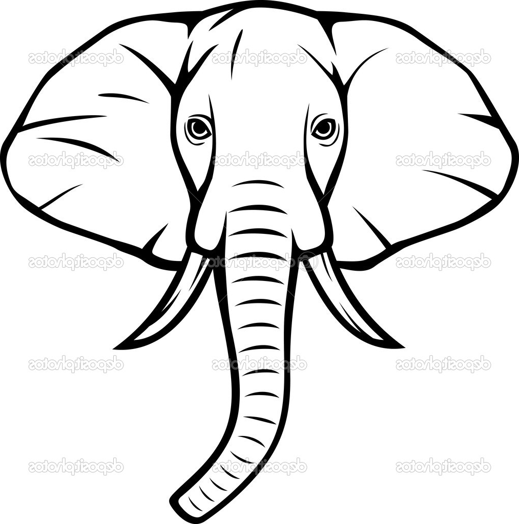 1013x1024 Indian Elephant Face Drawing Of An Head Drawings - Elephant Face Drawing