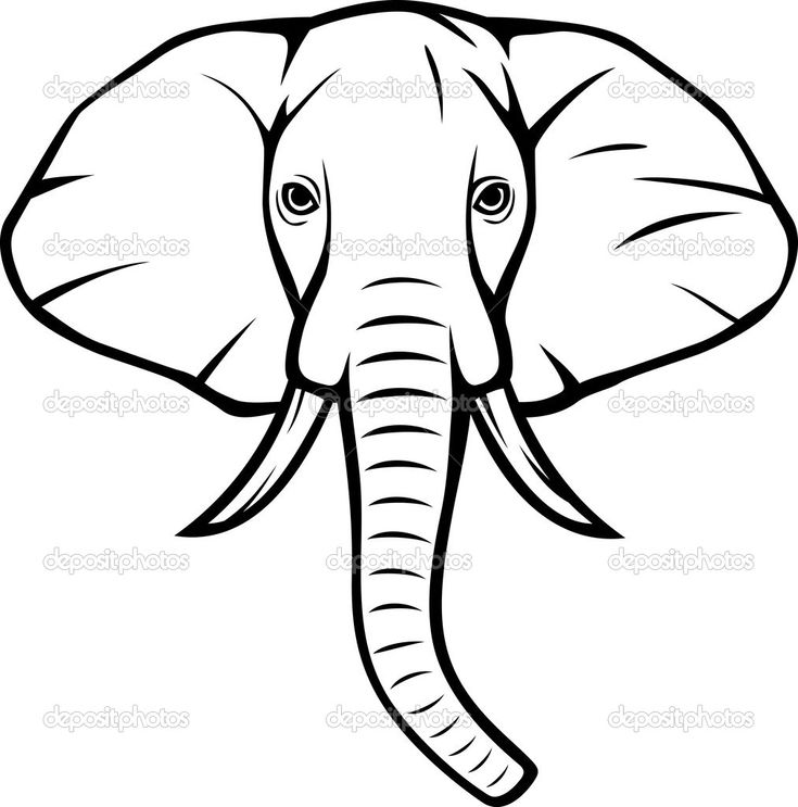 735x743 Simple Elephant Face Drawing - Elephant Face Drawing