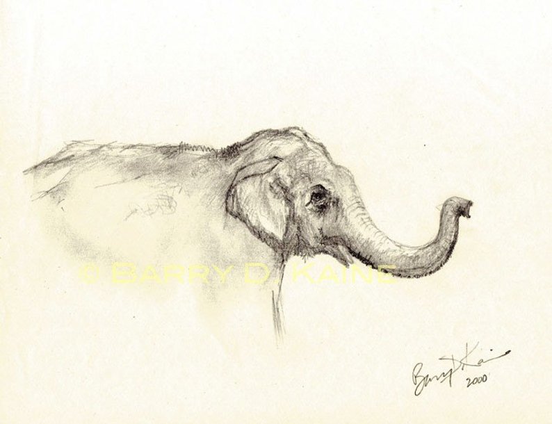 794x610 Baby Elephant Face Drawing Print Etsy - Elephant Face Drawing