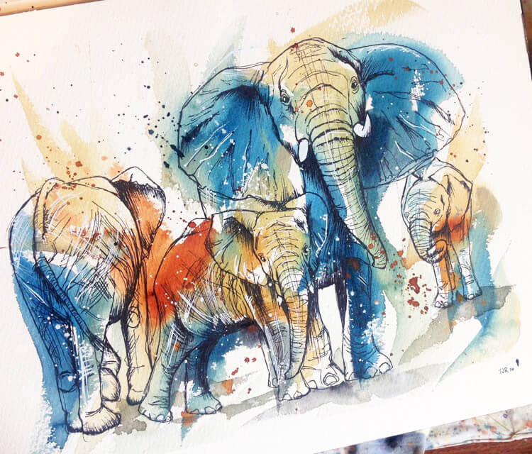 750x640 Elephant Family - Elephant Family Drawing