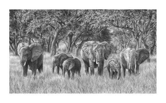 570x354 elephant wall art elephant family print elephant drawing etsy - Elephant Family Drawing