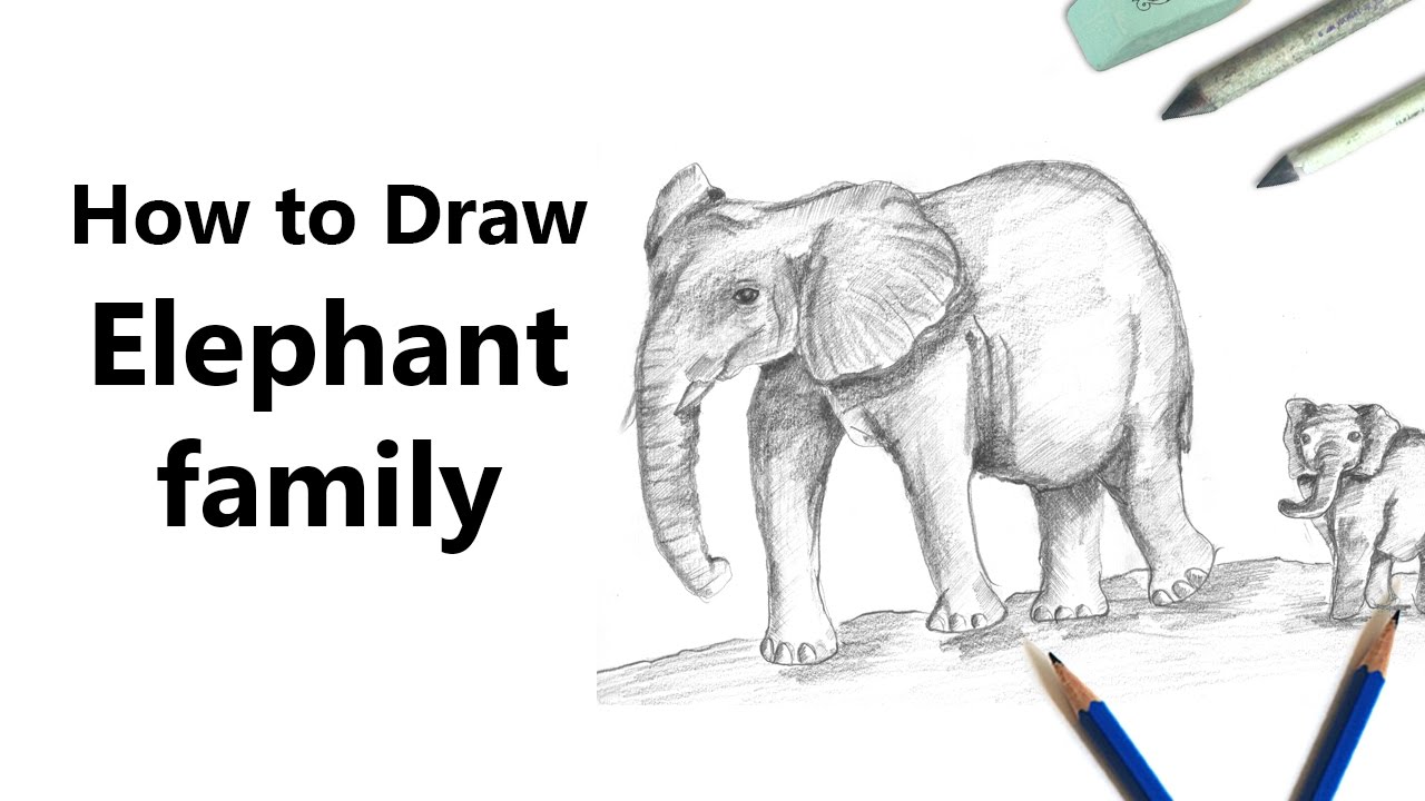 1280x720 How To Draw An Elephant Family With Pencils - Elephant Family Drawing