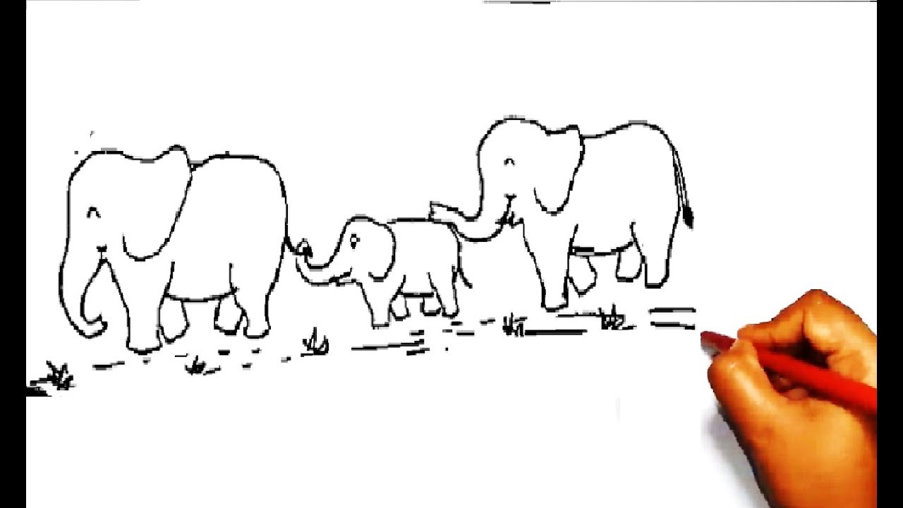 1280x720 How To Draw An Elephant Family - Elephant Family Drawing