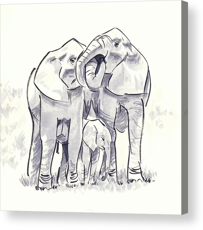 661x750 Elephant Family Acrylic Print - Elephant Family Drawing