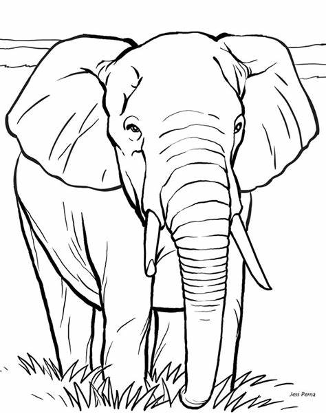 474x602 Elephant Front View Stencil Gtgt - Elephant Front View Drawing