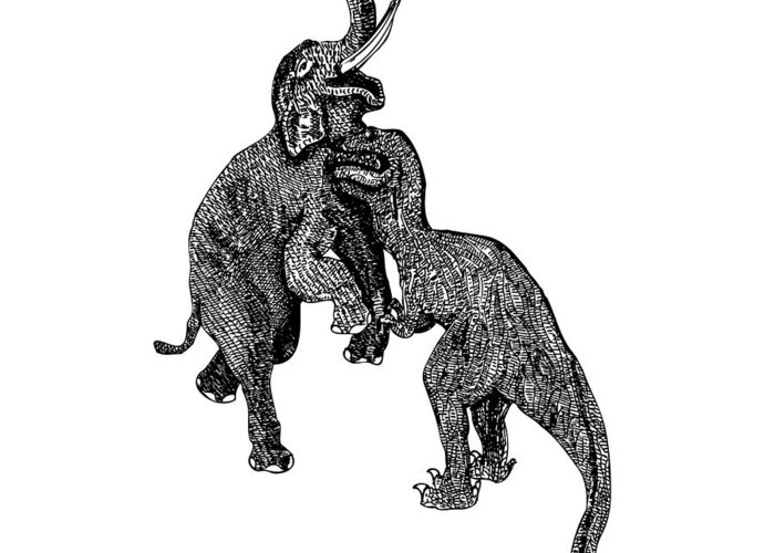700x500 Elephant Vs T Rex Greeting Card For Sale - Elephant Front View Drawing