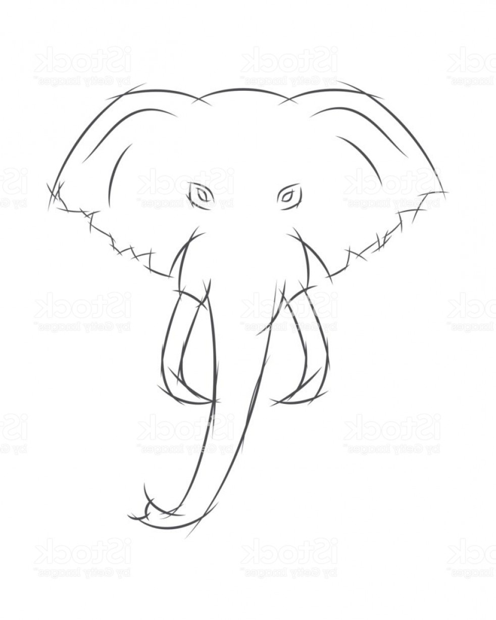982x1228 Elephants Cartoon Vector Outline Arenawp - Elephant Front View Drawing