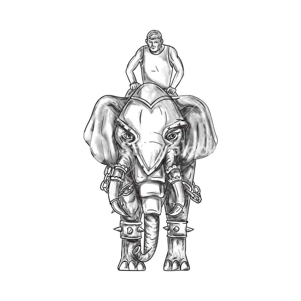 1000x1000 Tattoo Style Illustration Of A War Elephant With Mahout Rider - Elephant Front View Drawing