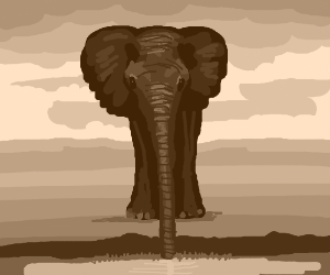 300x250 Elephant Front View Drawing - Elephant Front View Drawing