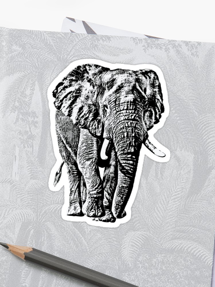 750x1000 Bull Elephant Front On View African Wildlife Sticker - Elephant Front View Drawing