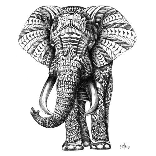 500x500 Elephant Head Drawing Ornate Elephant Wood Print - Elephant Head Drawing