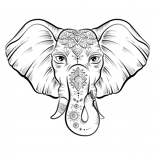 elephant head outline drawing