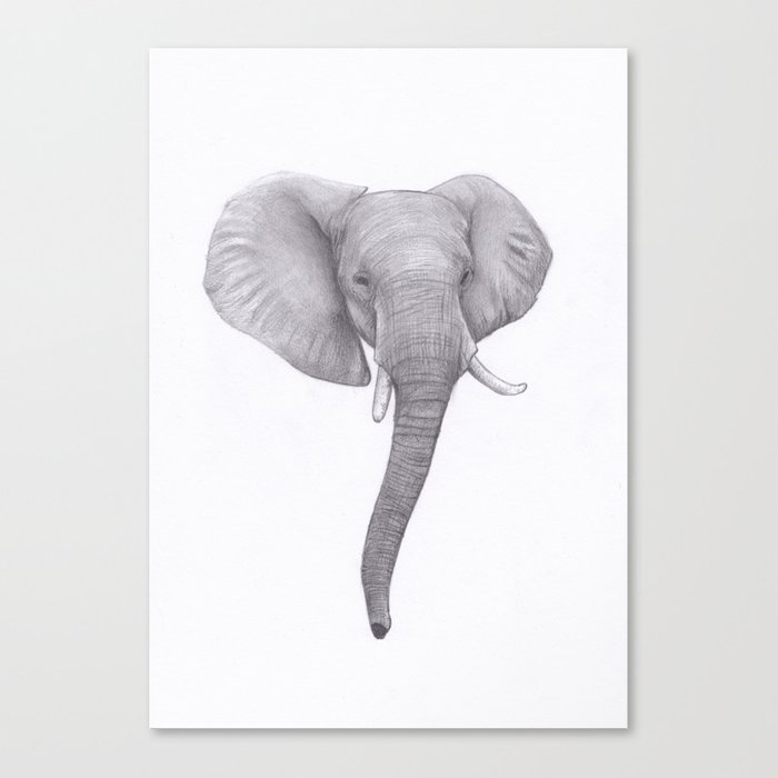 700x700 Elephant Head Drawing Canvas Print - Elephant Head Drawing