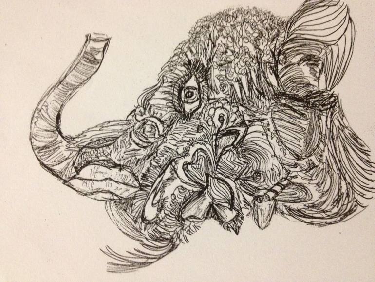 770x578 Elephant Head Drawing - Elephant Head Drawing