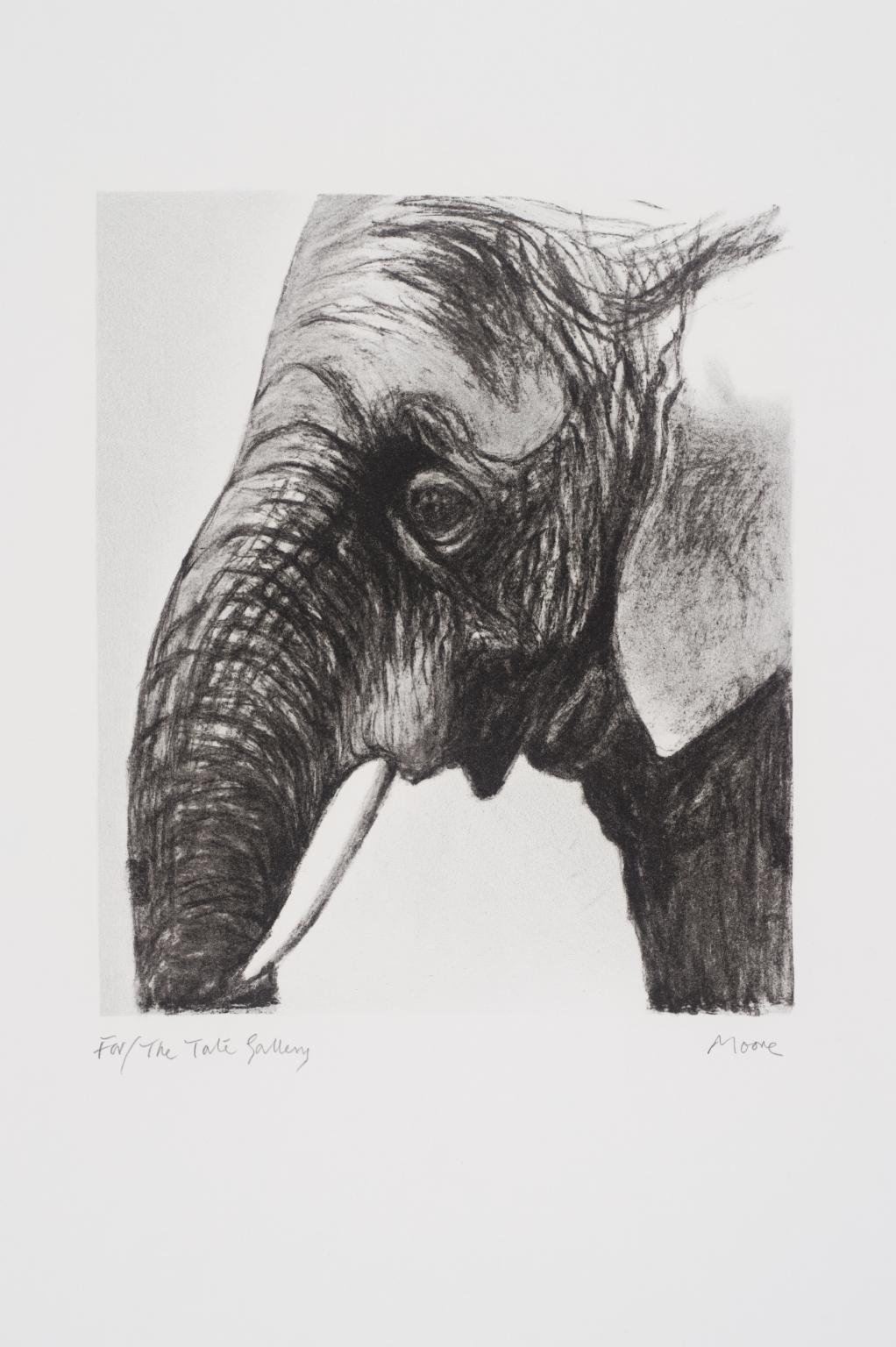 1022x1536 Elephants Head I', Henry Moore Om, Ch, Tate - Elephant Head Drawing