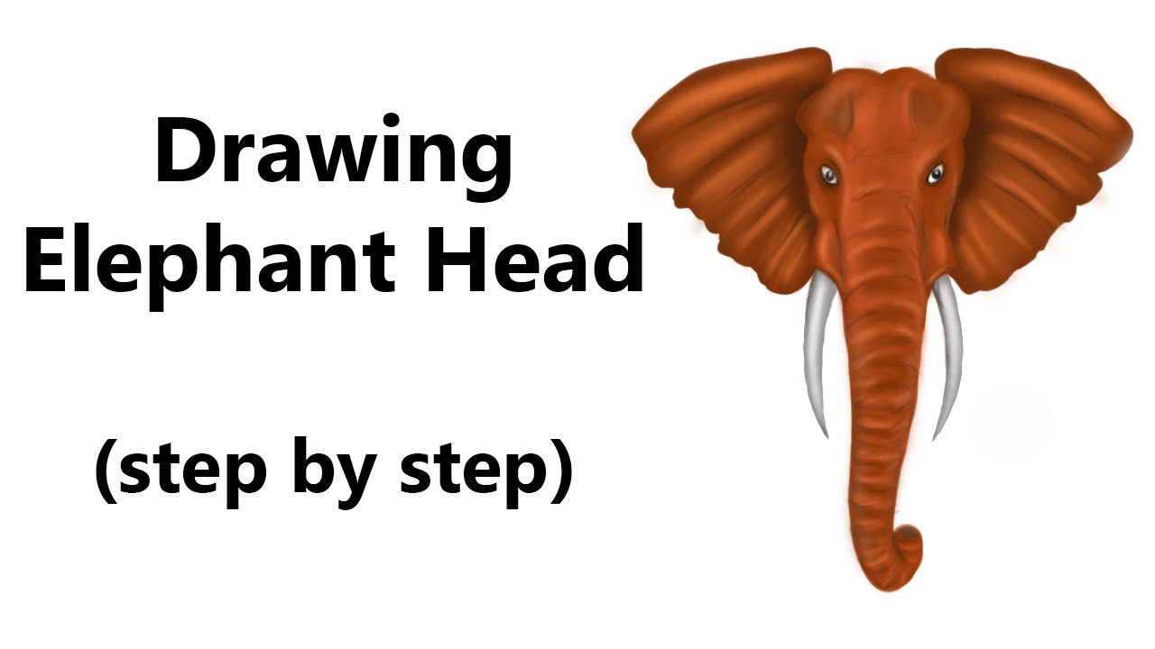 1280x720 How To Draw An Elephant Head - Elephant Head Drawing