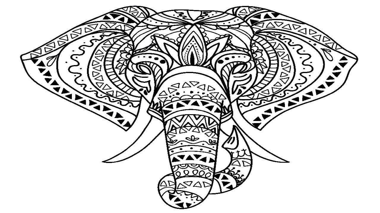 Elephant Head Drawing at PaintingValley.com | Explore collection of ...