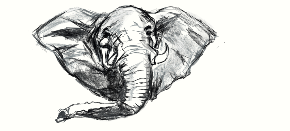 1006x456 Elephant Head Pencil Drawing Tumblr - Elephant Head Drawing Tumblr