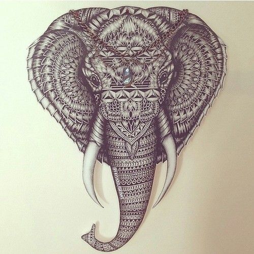 500x500 Images Of Elephant Head Drawing Tumblr - Elephant Head Drawing Tumblr