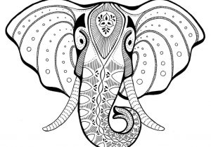 300x210 Simple Elephant Head Drawing - Elephant Head Drawing Tumblr