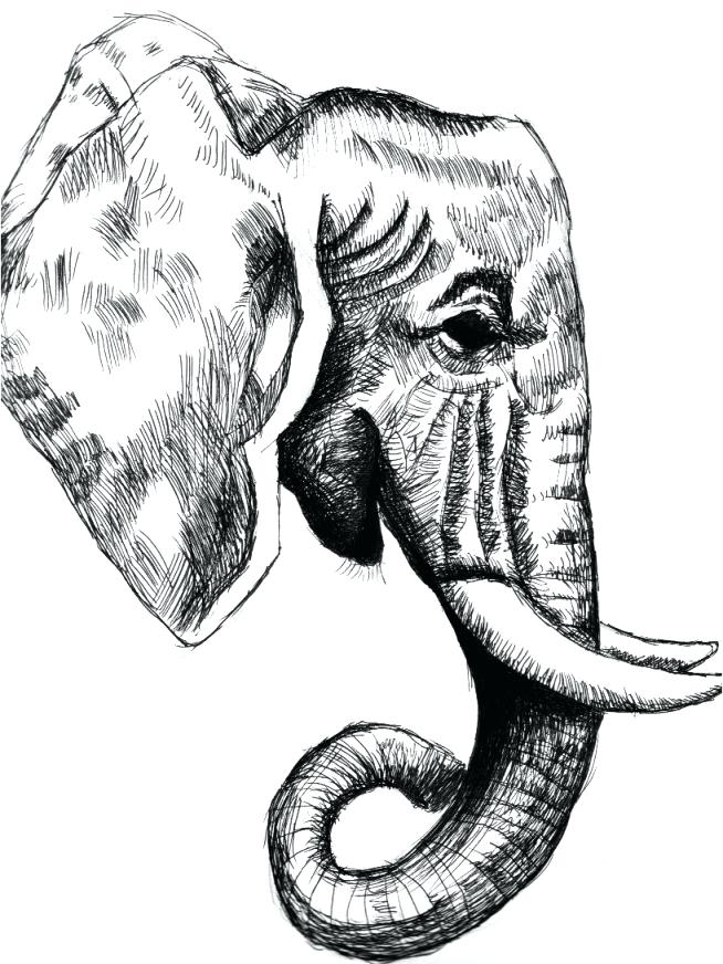 654x872 Sin Drawing Free Download - Elephant Head Drawing Tumblr