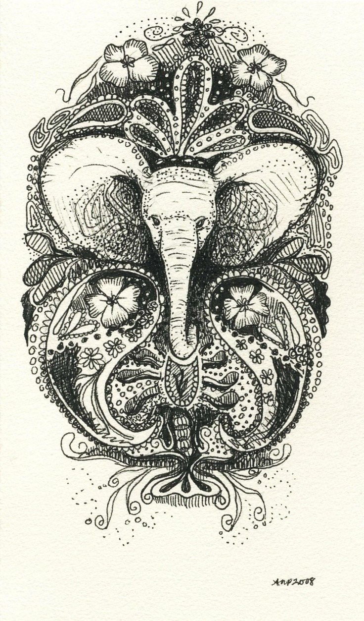 736x1253 Drawing Elephant Head Tumblr - Elephant Head Drawing Tumblr