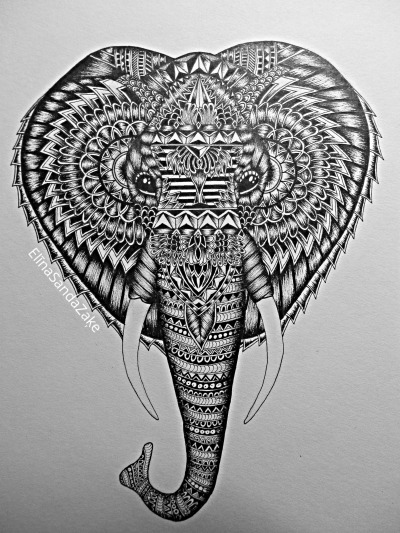 Elephant Head Drawing Tumblr at PaintingValley.com | Explore collection ...