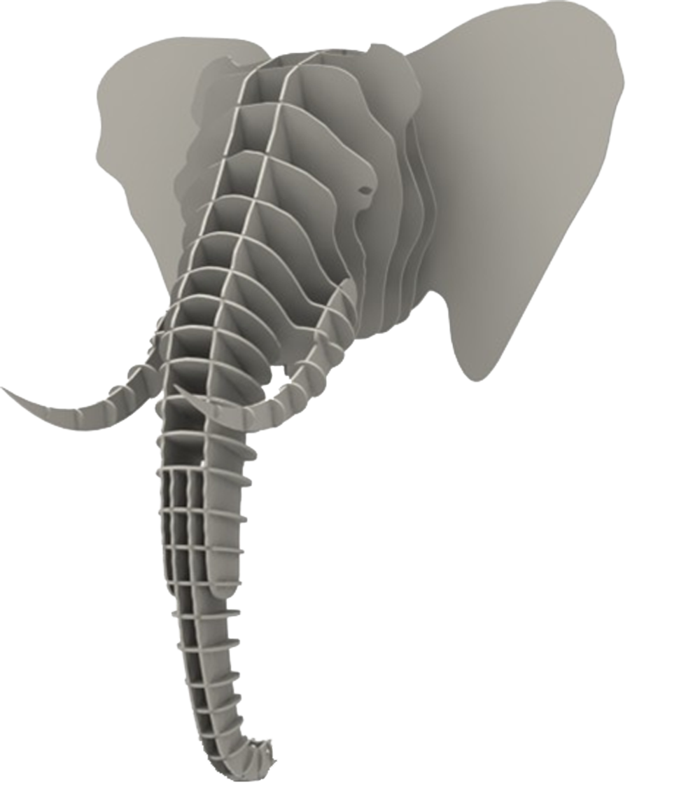 1000x1144 Drawing Elephants Head Transparent Png Clipart Free Download - Elephant Head Drawing Tumblr