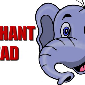 300x300 Elephant Head Drawing Tumblr Archives - Elephant Head Drawing Tumblr