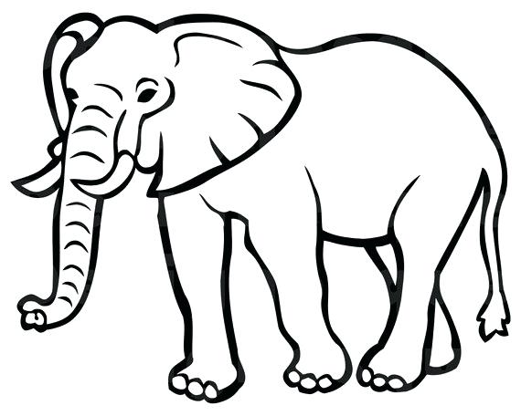 570x456 Elephant Outline Head Tattoo Image Drawing Cute - Elephant Indian Drawing