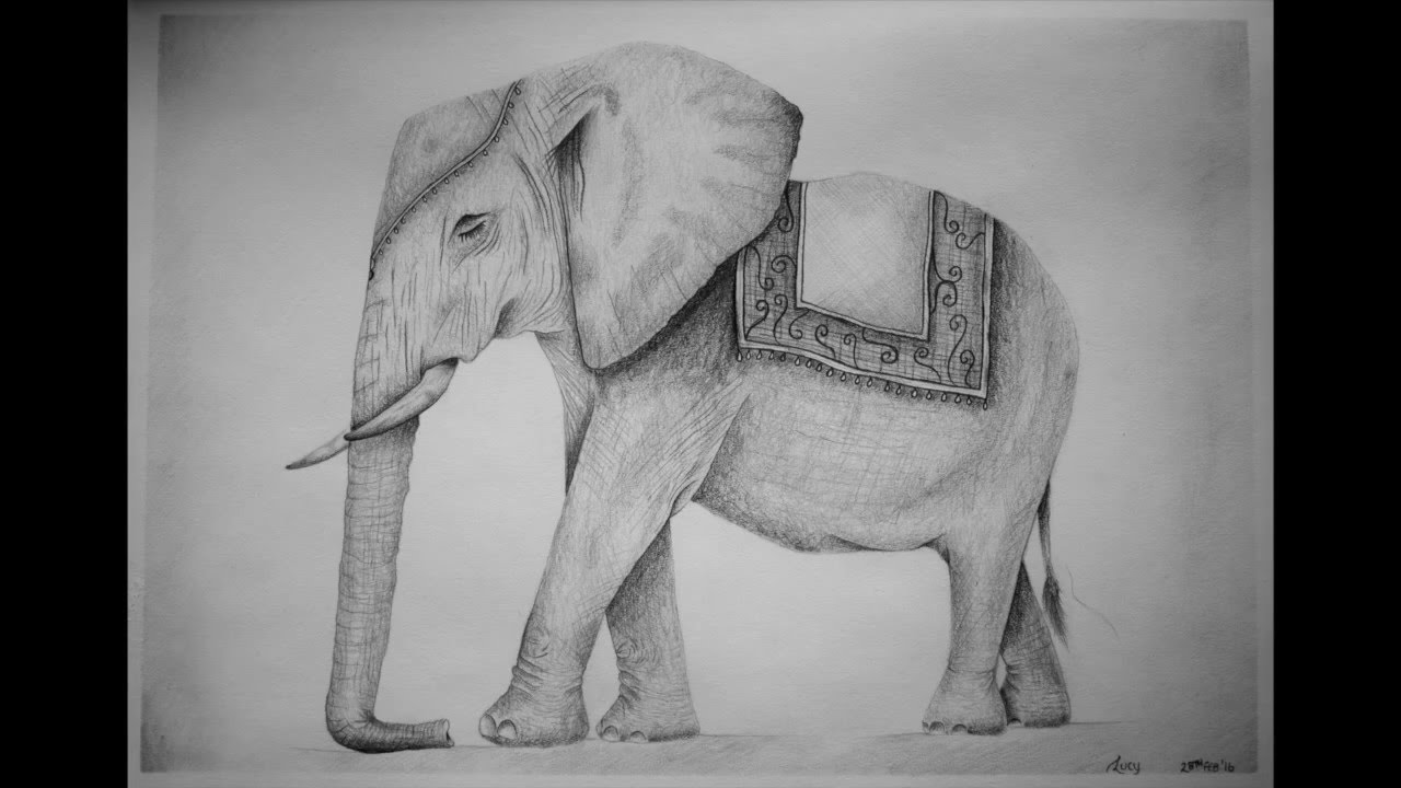 1280x720 Pencil Drawing Indian Elephant - Elephant Indian Drawing