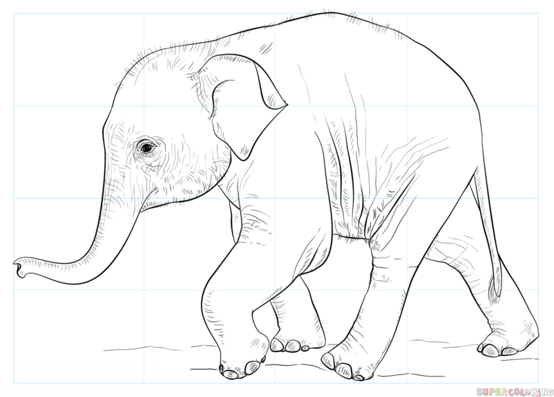 Elephant Line Drawing