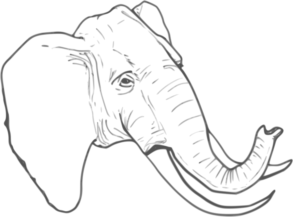 1011x750 Drawing Elephants Line Transparent Png Clipart Free Download - Elephant Line Drawing