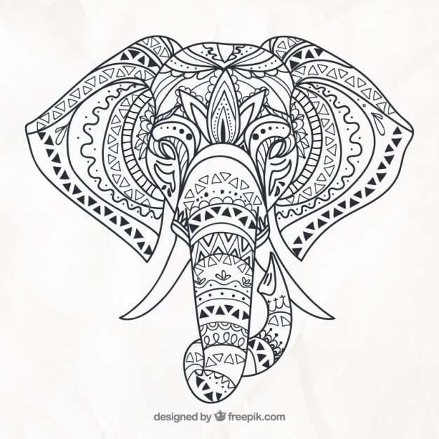 626x626 Elephant Vectors, Photos And Free Download - Elephant Line Drawing