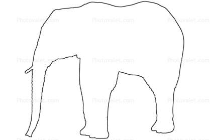 418x279 Elephant Outline, Line Drawing, Baby, Shape Images, Photography - Elephant Line Drawing